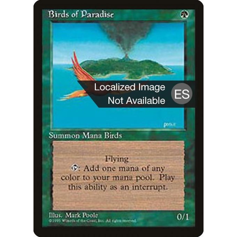4BB: Birds of Paradise