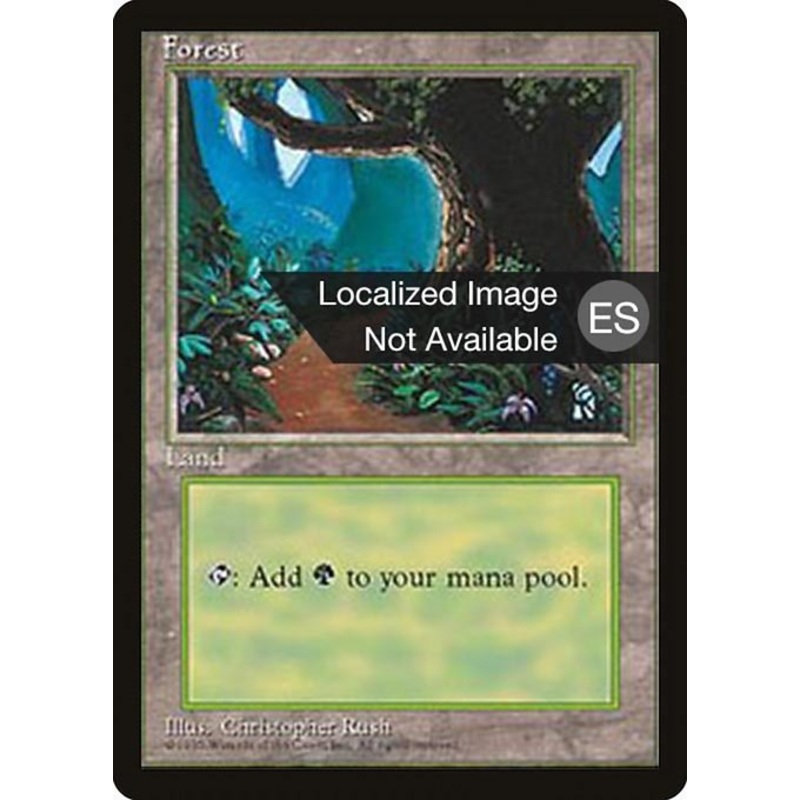 4BB: Forest (B)