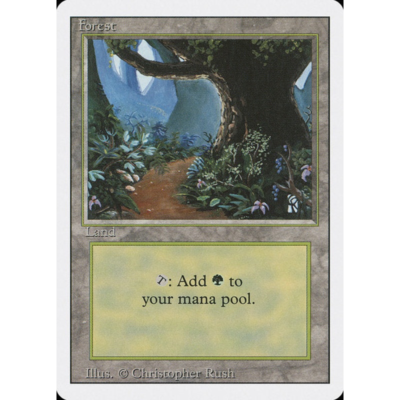 3ED: Forest (B)