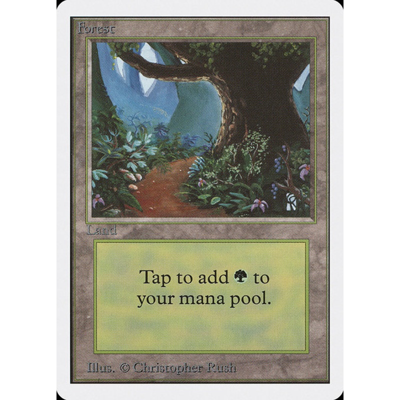 2ED: Forest (B)