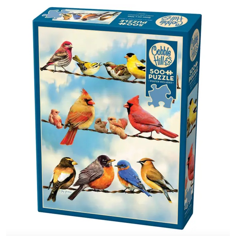 Birds on A Wire (500 pc puzzle)
