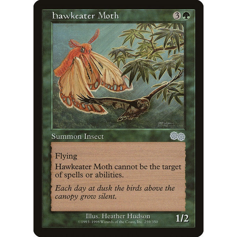 USG: Hawkeater Moth