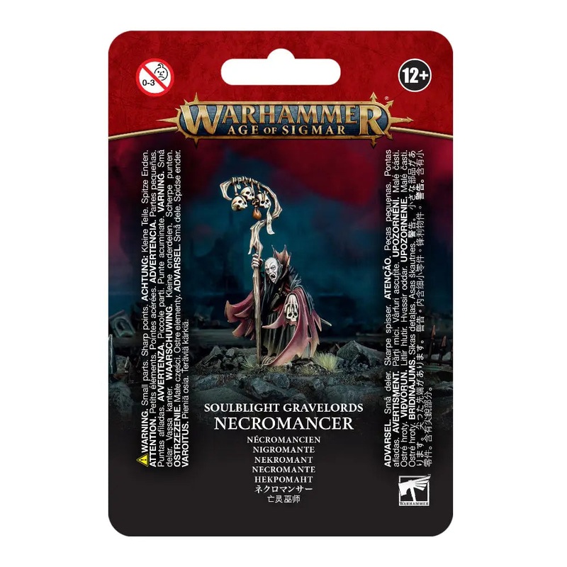 Warhammer Age of Sigmar Soulblight Gravelords: Necromancer
