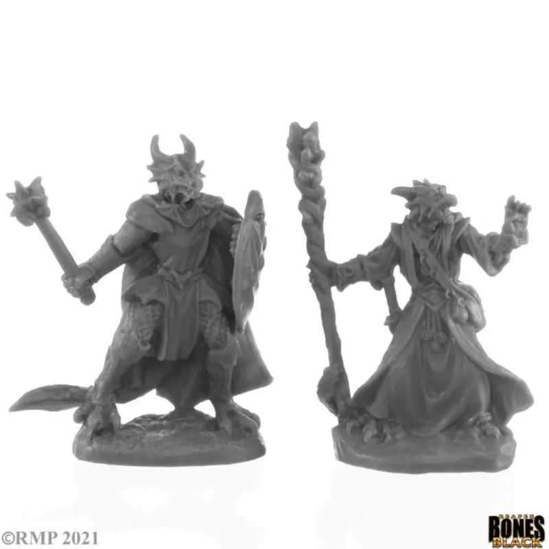 Reaper: Bones Black Dragonfolk Wizard and Cleric