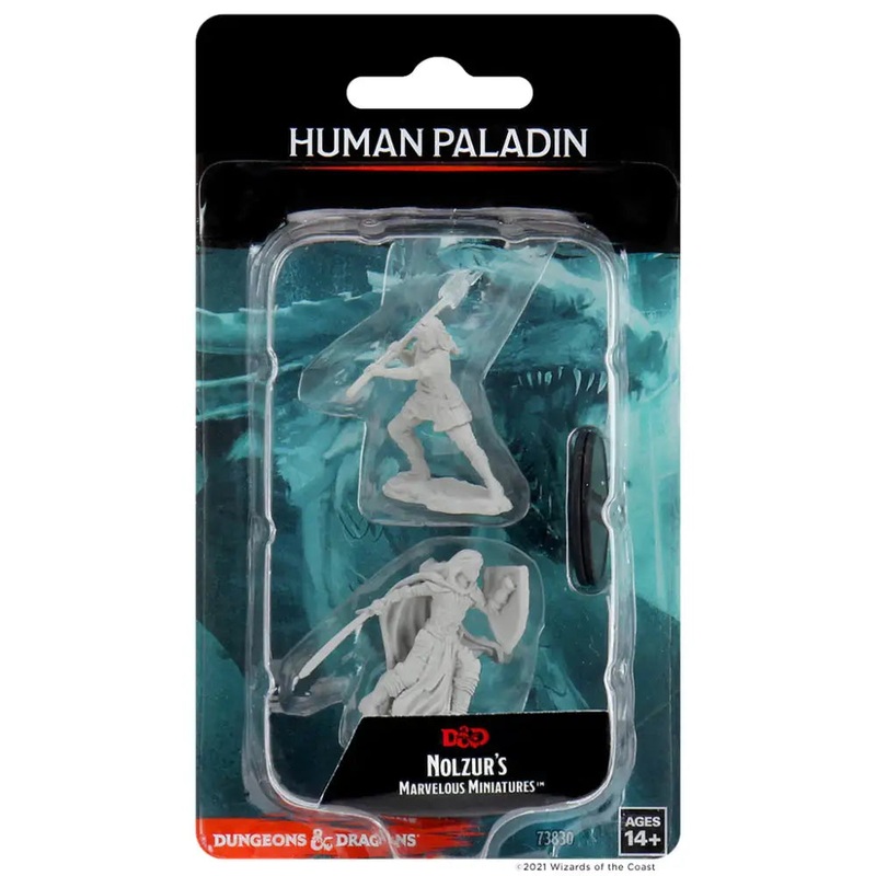 WizKids Unpainted Human Female Paladin (2)