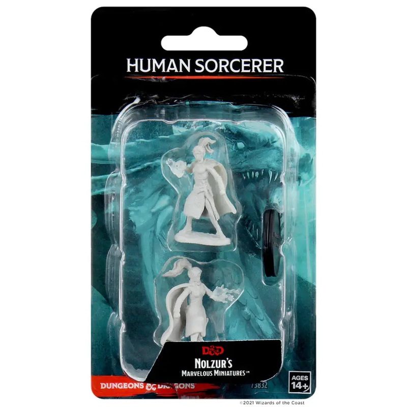WizKids Unpainted Human Female Sorcerer (2)