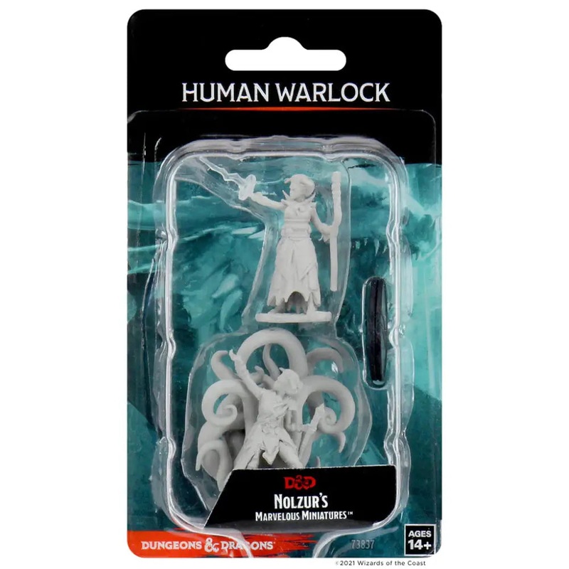 WizKids Unpainted Human Female Warlock (2)