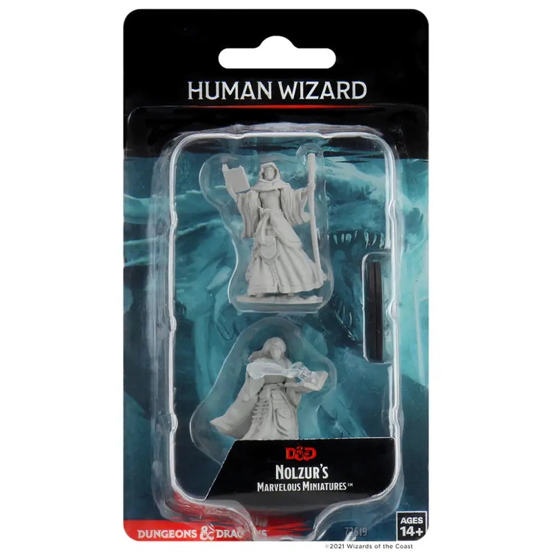 WizKids Unpainted Human Female Wizard (2)