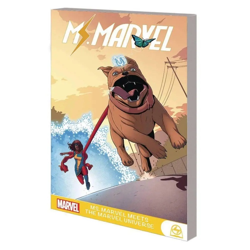 Ms Marvel Meets the Marvel Universe