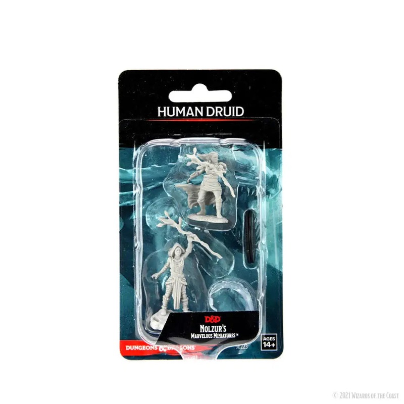 WizKids Unpainted Human Female Druid (2)