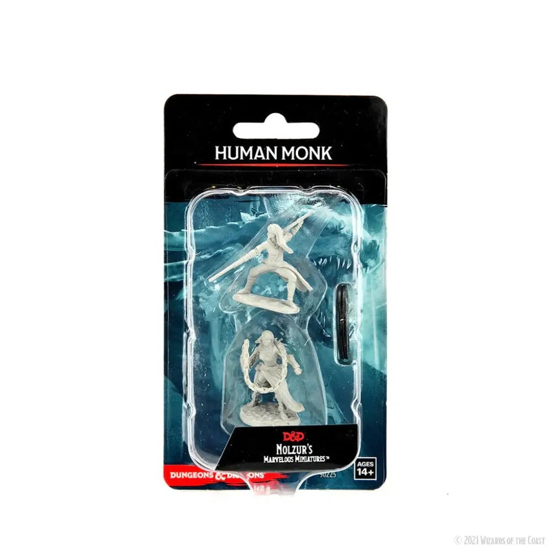 WizKids Unpainted Human Female Monk (2)