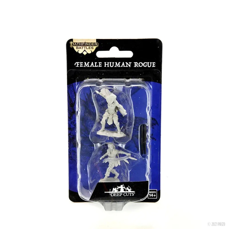 WizKids Unpainted Human Female Rogue (2)