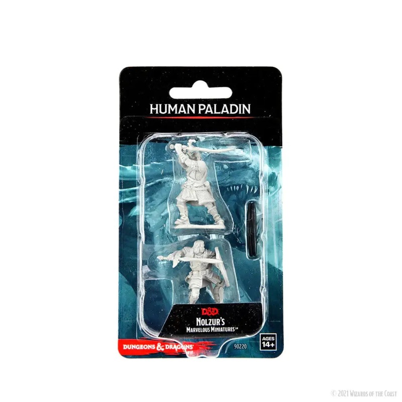 WizKids Unpainted Human Male Paladin (2)