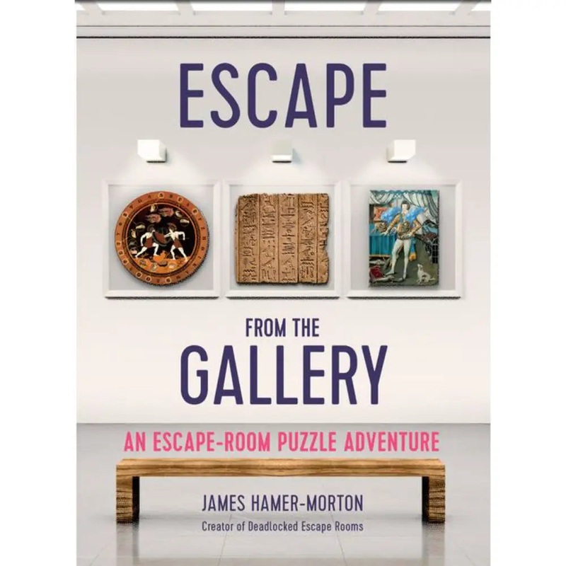 Escape from the Gallery (Paperback)