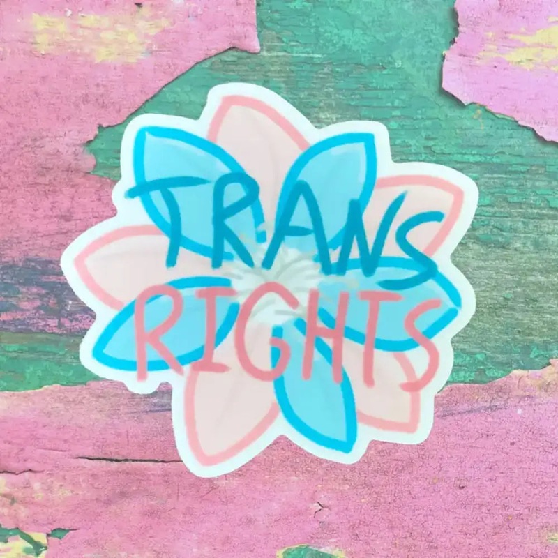 Trans Rights Sticker